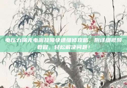 电压力锅无电源故障快速维修攻略，附详细视频教程，轻松解决问题！