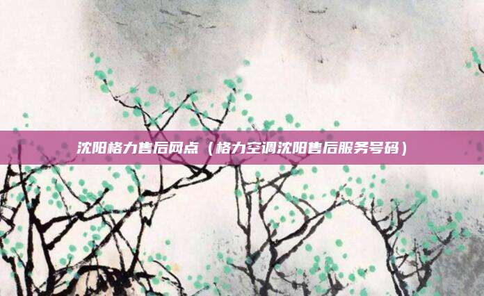 沈阳格力售后网点（格力空调沈阳售后服务号码）