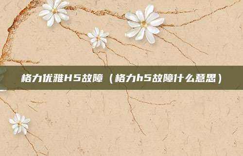 格力优雅H5故障（格力h5故障什么意思）