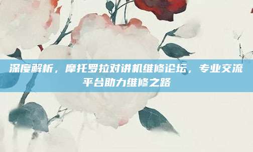 深度解析,摩托罗拉对讲机维修论坛,专业交流平台助力维修之路