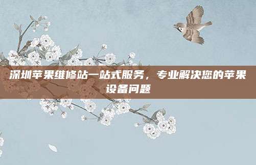 深圳苹果维修站一站式服务，专业解决您的苹果设备问题