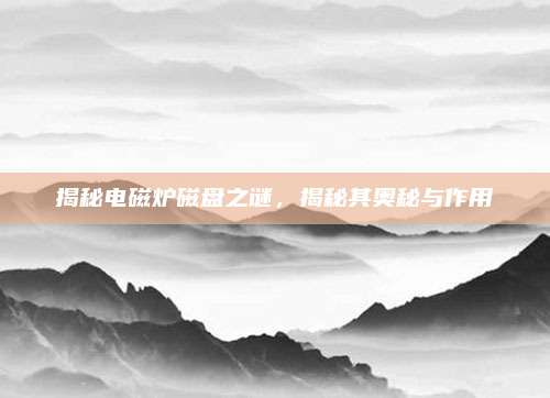 揭秘电磁炉磁盘之谜,揭秘其奥秘与作用