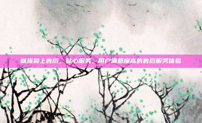魅族颍上售后，贴心服务，用户满意度高的售后服务体验