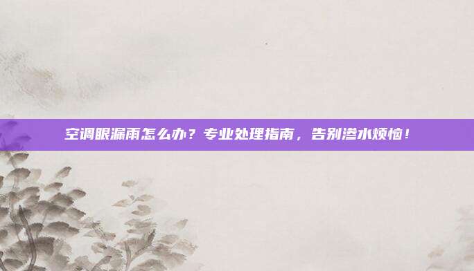 空调眼漏雨怎么办?专业处理指南,告别渗水烦恼!