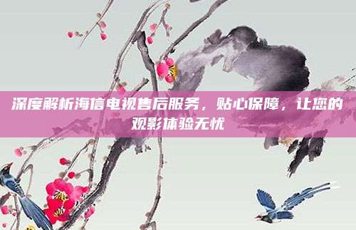 深度解析海信电视售后服务，贴心保障，让您的观影体验无忧