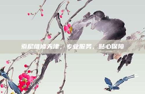 索尼维修天津，专业服务，贴心保障