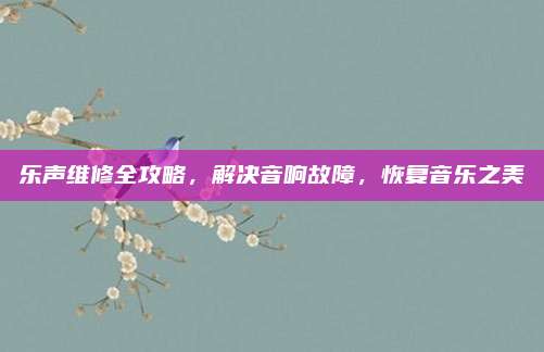 乐声维修全攻略，解决音响故障，恢复音乐之美