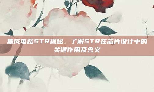 集成电路STR揭秘，了解STR在芯片设计中的关键作用及含义