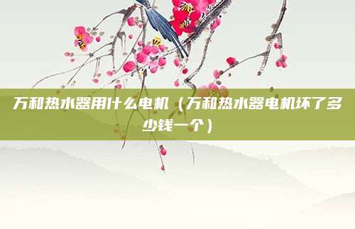 万和热水器用什么电机（万和热水器电机坏了多少钱一个）