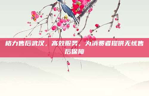 格力售后武汉,高效服务,为消费者提供无忧售后保障