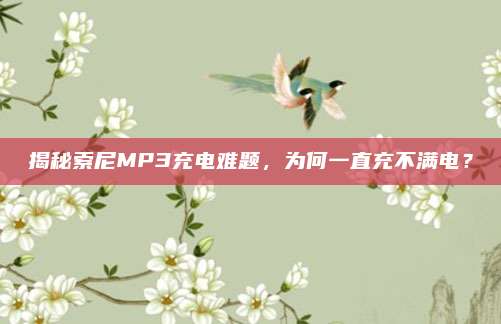 揭秘索尼MP3充电难题,为何一直充不满电?