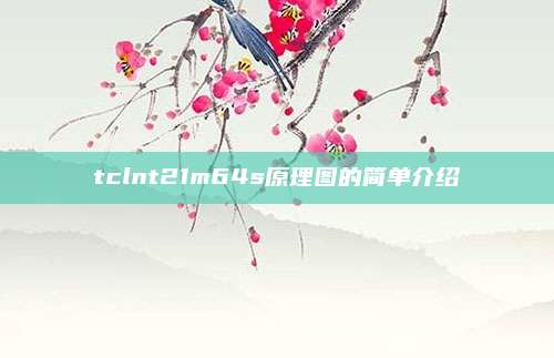 tclnt21m64s原理图的简单介绍