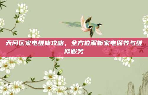 天河区家电维修攻略,全方位解析家电保养与维修服务