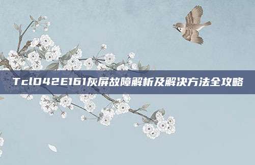 TclD42E161灰屏故障解析及解决方法全攻略