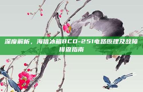 深度解析，海信冰箱BCD-251电路原理及故障排查指南