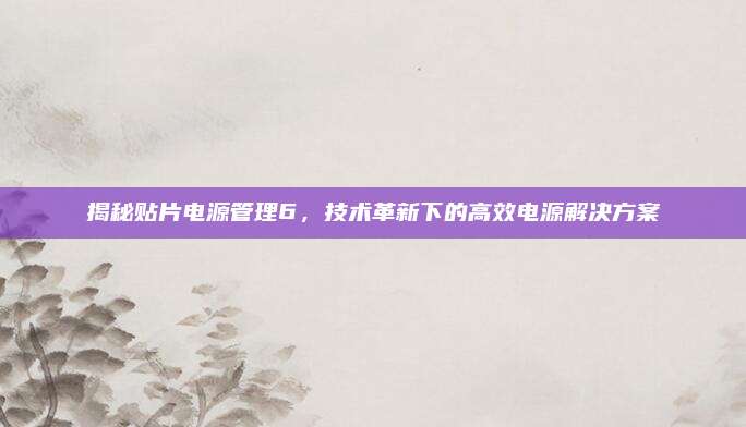 揭秘贴片电源管理6,技术革新下的高效电源解决方案