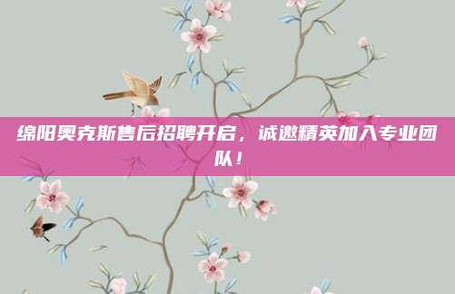 绵阳奥克斯售后招聘开启,诚邀精英加入专业团队!