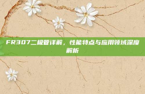 FR307二极管详解,性能特点与应用领域深度解析
