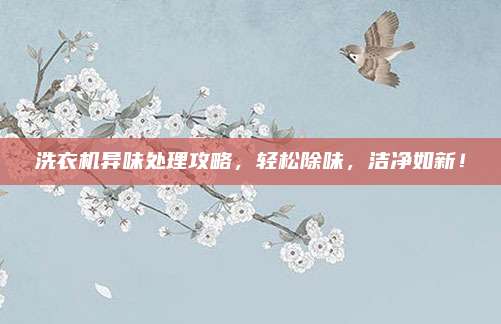 洗衣机异味处理攻略,轻松除味,洁净如新!