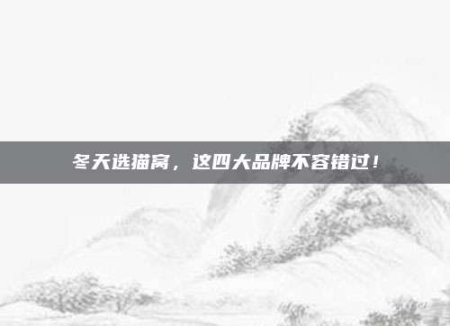 冬天选猫窝，这四大品牌不容错过！