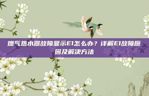 燃气热水器故障显示E1怎么办？详解E1故障原因及解决方法