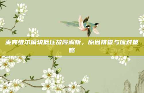 麦克维尔模块低压故障解析，原因排查与应对策略
