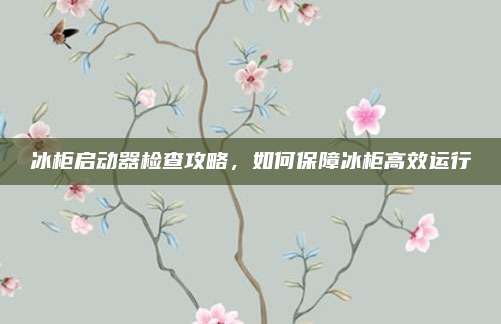 冰柜启动器检查攻略，如何保障冰柜高效运行
