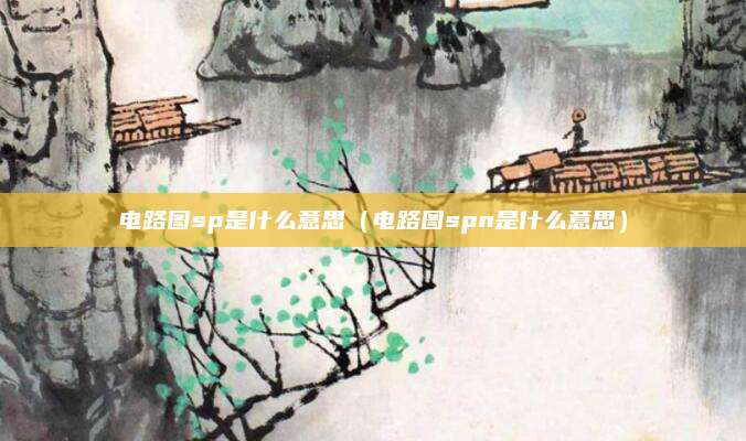 电路图sp是什么意思（电路图spn是什么意思）