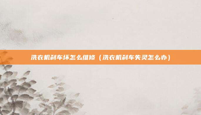 洗衣机刹车坏怎么维修（洗衣机刹车失灵怎么办）