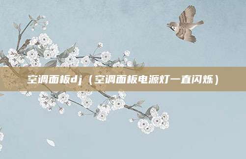 空调面板dj（空调面板电源灯一直闪烁）