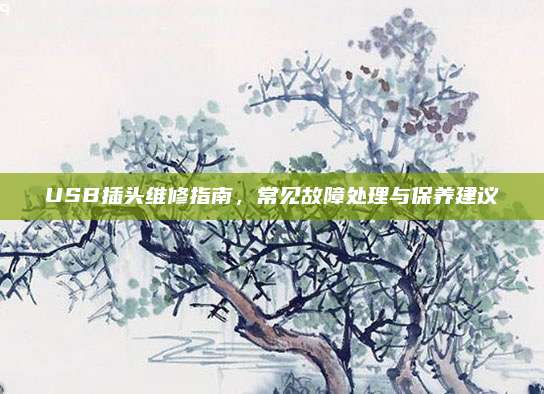 USB插头维修指南,常见故障处理与保养建议