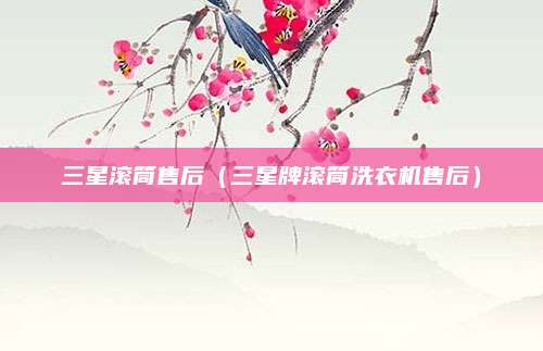 三星滚筒售后（三星牌滚筒洗衣机售后）