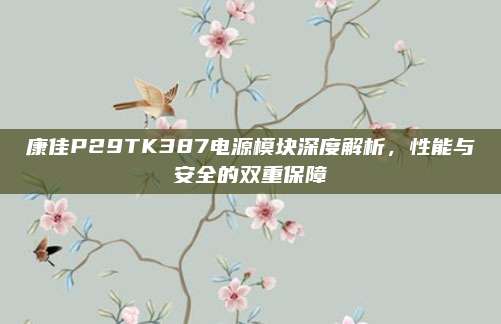 康佳P29TK387电源模块深度解析,性能与安全的双重保障