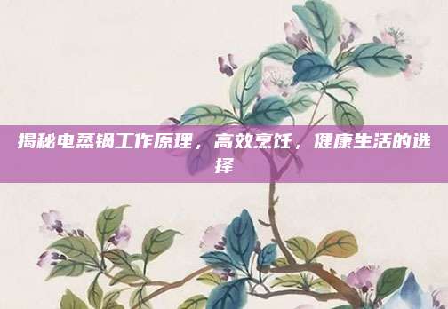 揭秘电蒸锅工作原理，高效烹饪，健康生活的选择