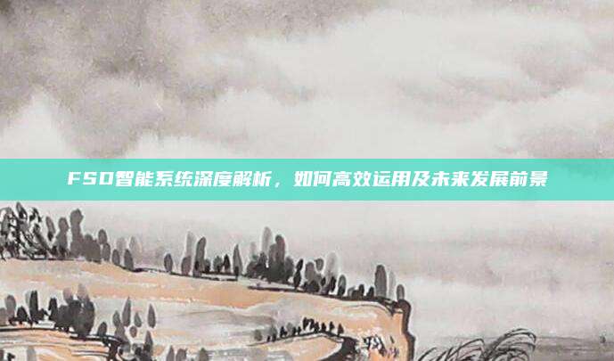 FSD智能系统深度解析，如何高效运用及未来发展前景