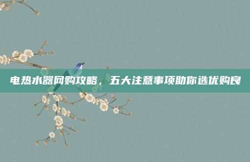 电热水器网购攻略，五大注意事项助你选优购良