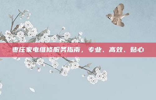 枣庄家电维修服务指南，专业、高效、贴心