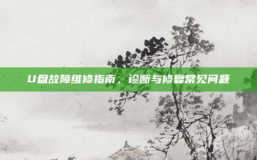 U盘故障维修指南，诊断与修复常见问题