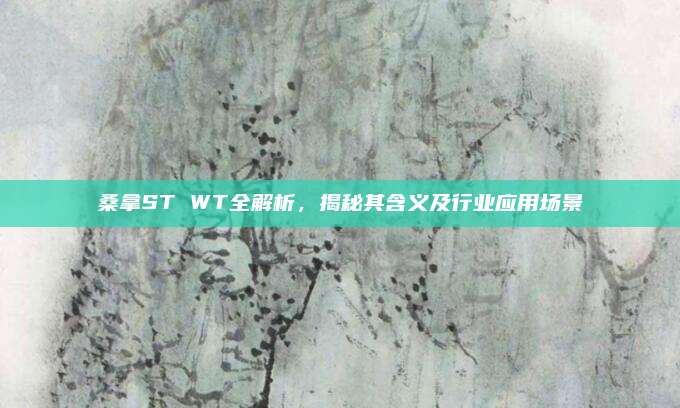 桑拿ST WT全解析，揭秘其含义及行业应用场景