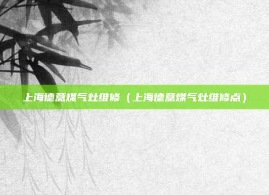 上海德意煤气灶维修(上海德意煤气灶维修点)