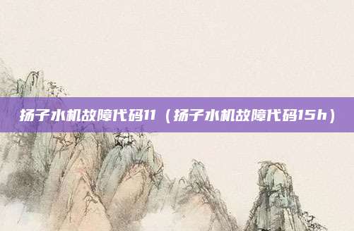 扬子水机故障代码11（扬子水机故障代码15h）