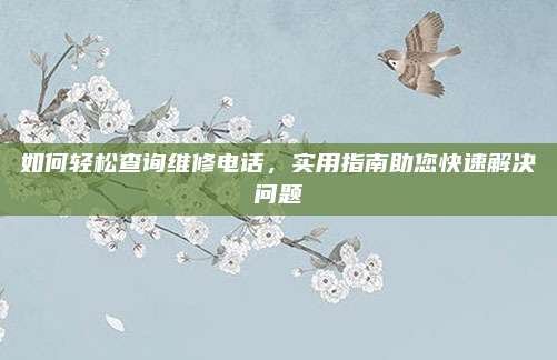 如何轻松查询维修电话，实用指南助您快速解决问题