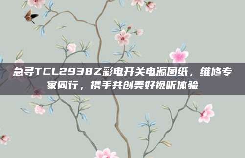 急寻TCL2938Z彩电开关电源图纸，维修专家同行，携手共创美好视听体验