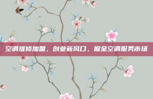 空调维修加盟，创业新风口，掘金空调服务市场