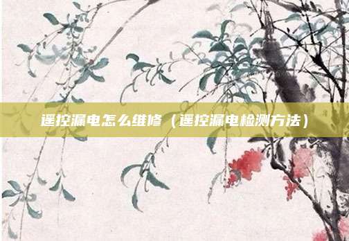 遥控漏电怎么维修（遥控漏电检测方法）