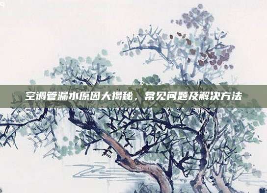 空调管漏水原因大揭秘，常见问题及解决方法