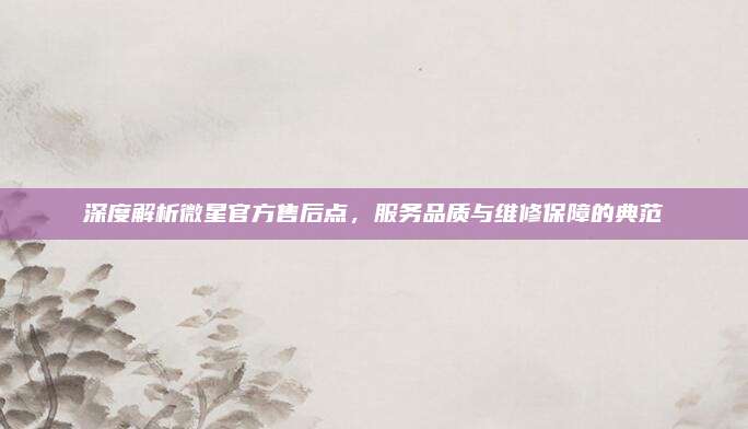 深度解析微星官方售后点，服务品质与维修保障的典范