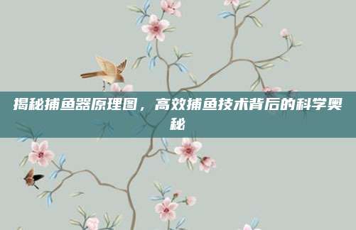 揭秘捕鱼器原理图,高效捕鱼技术背后的科学奥秘