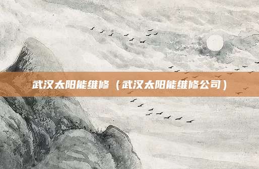 武汉太阳能维修(武汉太阳能维修公司)
