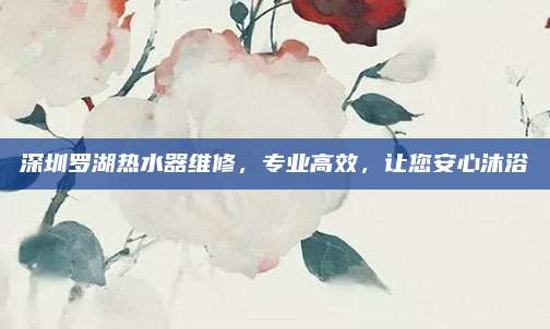 深圳罗湖热水器维修，专业高效，让您安心沐浴